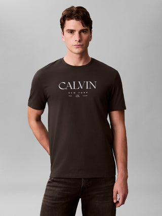 Calvin Klein Graphic T-shirt Svart Herr