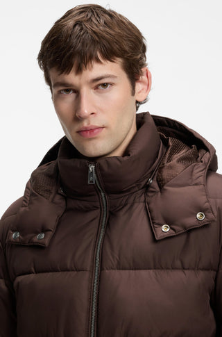 H-Colter 10243820 01