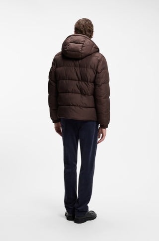 H-Colter 10243820 01